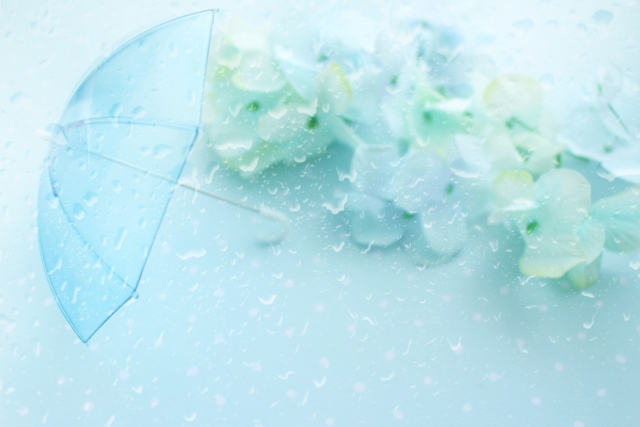 海王星みたいな紫陽花が好き　
